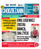 Tyg. Chodzieżanin