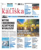 Ziemia Kaliska miasto