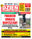 Tyg. Dzień szamotulski