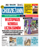 Tyg. Chodzieżanin