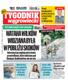 Tyg. Tygodnik Wągrowiecki