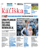 Ziemia Kaliska miasto