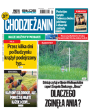 Tyg. Chodzieżanin