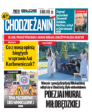 Tyg. Chodzieżanin