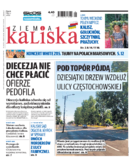 Ziemia Kaliska miasto