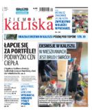 Ziemia Kaliska miasto