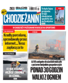 Tyg. Chodzieżanin