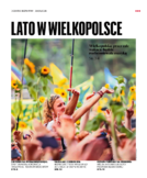 Dodatek komercyjny