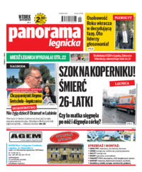 Panorama Legnicka