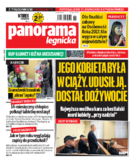 Panorama Legnicka