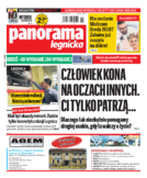 Panorama Legnicka