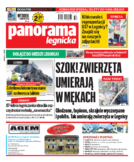 Panorama Legnicka