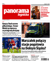 Panorama Legnicka