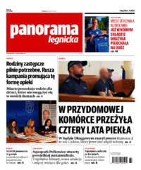 Panorama Legnicka