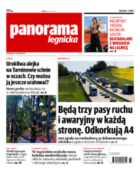 Panorama Legnicka