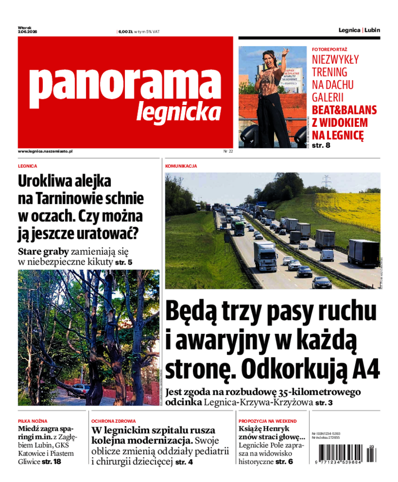Panorama Legnicka