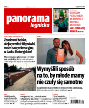 Panorama Legnicka