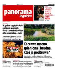 Panorama Legnicka