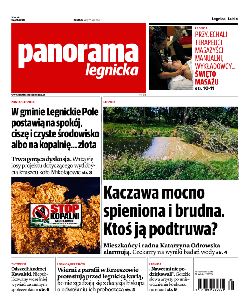 Panorama Legnicka