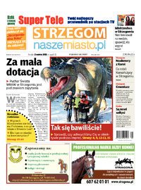 Nasze Miasto Strzegom