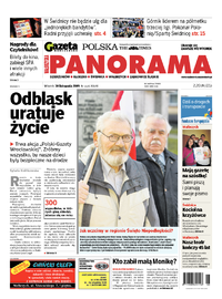 Panorama Wałbrzyska