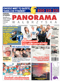 Panorama Wałbrzyska