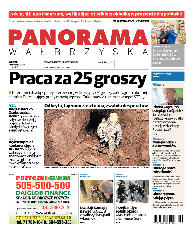 Panorama Wałbrzyska