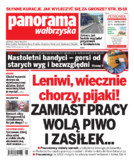 Panorama Wałbrzyska