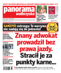 Panorama Wałbrzyska