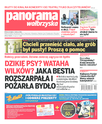 Panorama Wałbrzyska