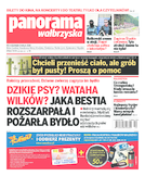 Panorama Wałbrzyska