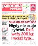 Panorama Wałbrzyska