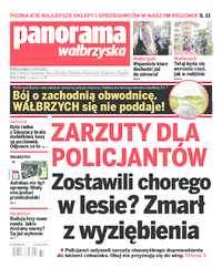 Panorama Wałbrzyska