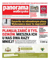 Panorama Wałbrzyska