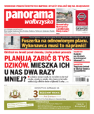 Panorama Wałbrzyska