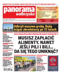 Panorama Wałbrzyska