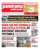 Panorama Wałbrzyska