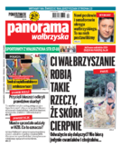 Panorama Wałbrzyska