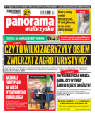 Panorama Wałbrzyska