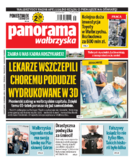 Panorama Wałbrzyska