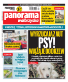 Panorama Wałbrzyska