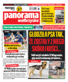 Panorama Wałbrzyska