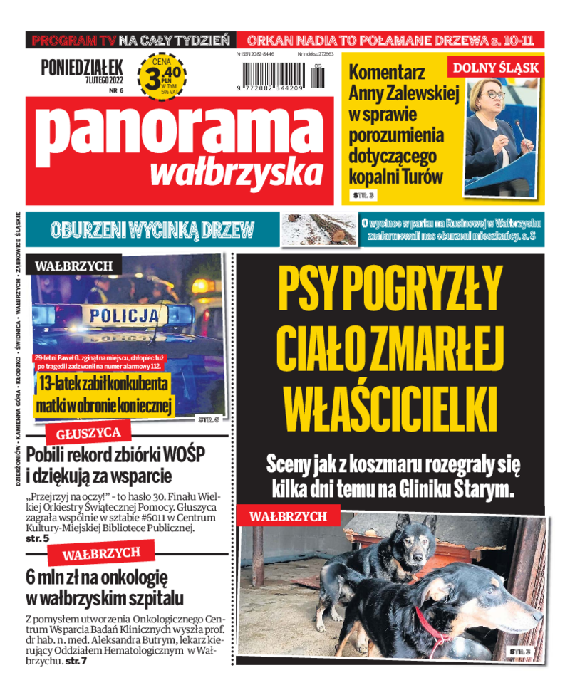 Panorama Wałbrzyska