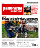 Panorama Wałbrzyska