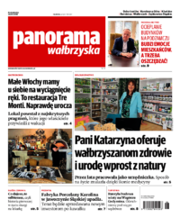 Panorama Wałbrzyska