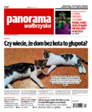 Panorama Wałbrzyska