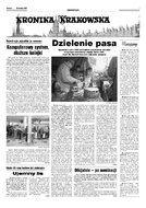 Kronika Krakowska