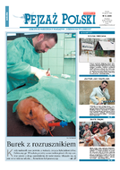 Pejzaż rodzinny