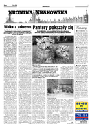 Kronika Krakowska