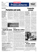 Dz. Podkarpacki